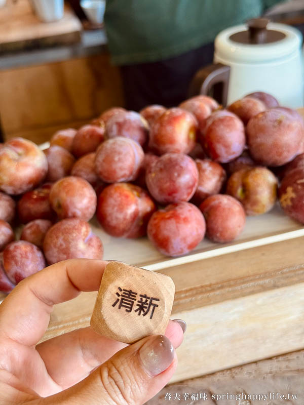 【嘉義梅山】阿里山秘境 山角鐵茶屋(全預約制) 山景第一排 品茶觀山療癒秘境 @春天幸福味