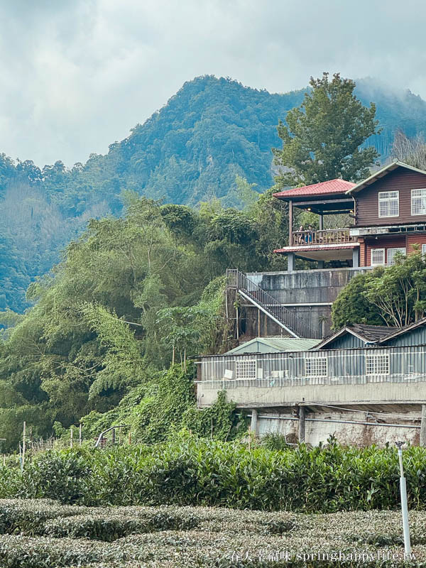 【嘉義梅山】阿里山秘境 山角鐵茶屋(全預約制) 山景第一排 品茶觀山療癒秘境 @春天幸福味