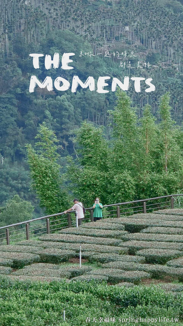 【嘉義梅山】阿里山秘境 山角鐵茶屋(全預約制) 山景第一排 品茶觀山療癒秘境 @春天幸福味