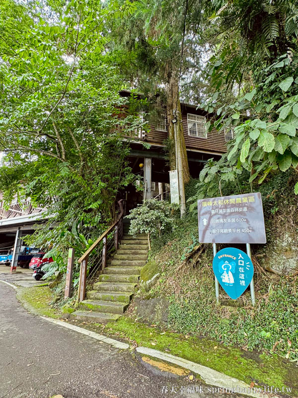 【嘉義梅山】阿里山秘境 山角鐵茶屋(全預約制) 山景第一排 品茶觀山療癒秘境 @春天幸福味