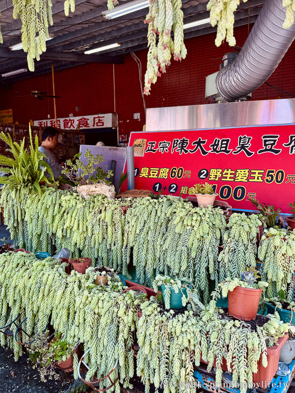 【南橫美食】南橫公路 利稻陳大姐名產店 必吃愛臭配~愛玉&臭豆腐 @春天幸福味